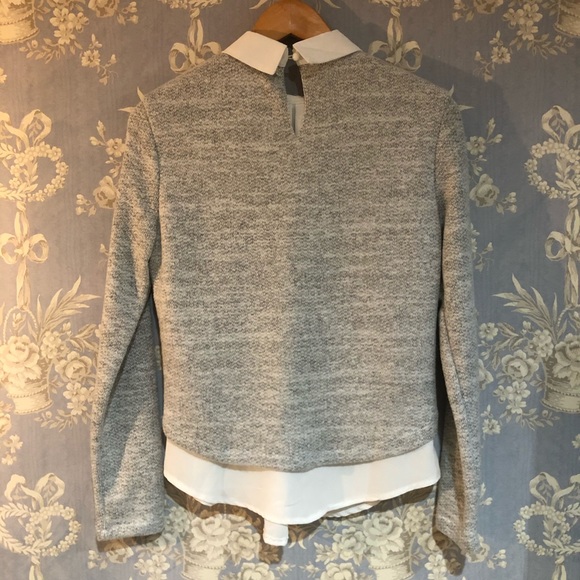 Collared Sweater - Picture 3 of 4